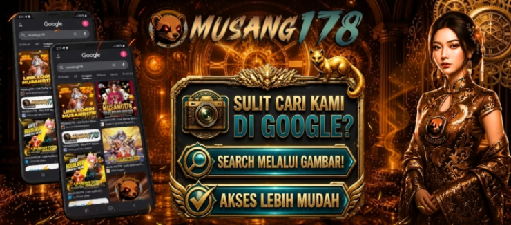 MUSANG178